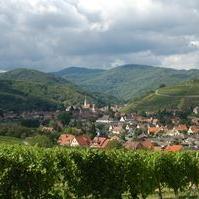 Blick auf Andlau
