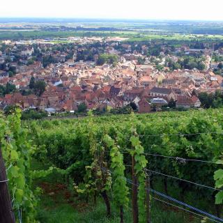 Barr_panorama