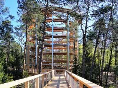 Baumwipfelpfad Elsass