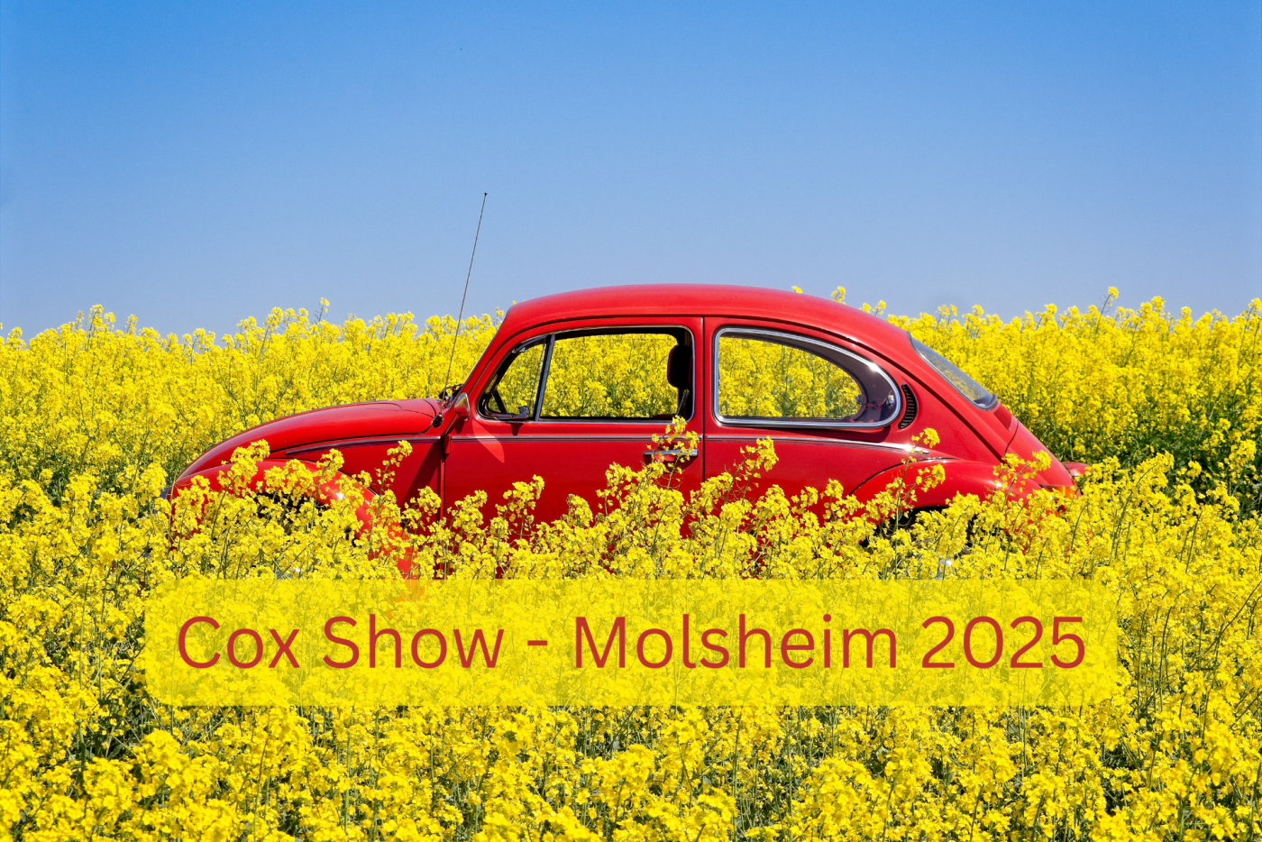 Cox Show à Molsheim 2025