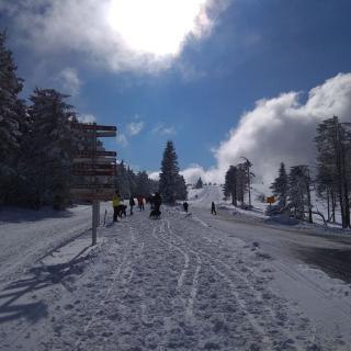 Winter am Champ du Feu