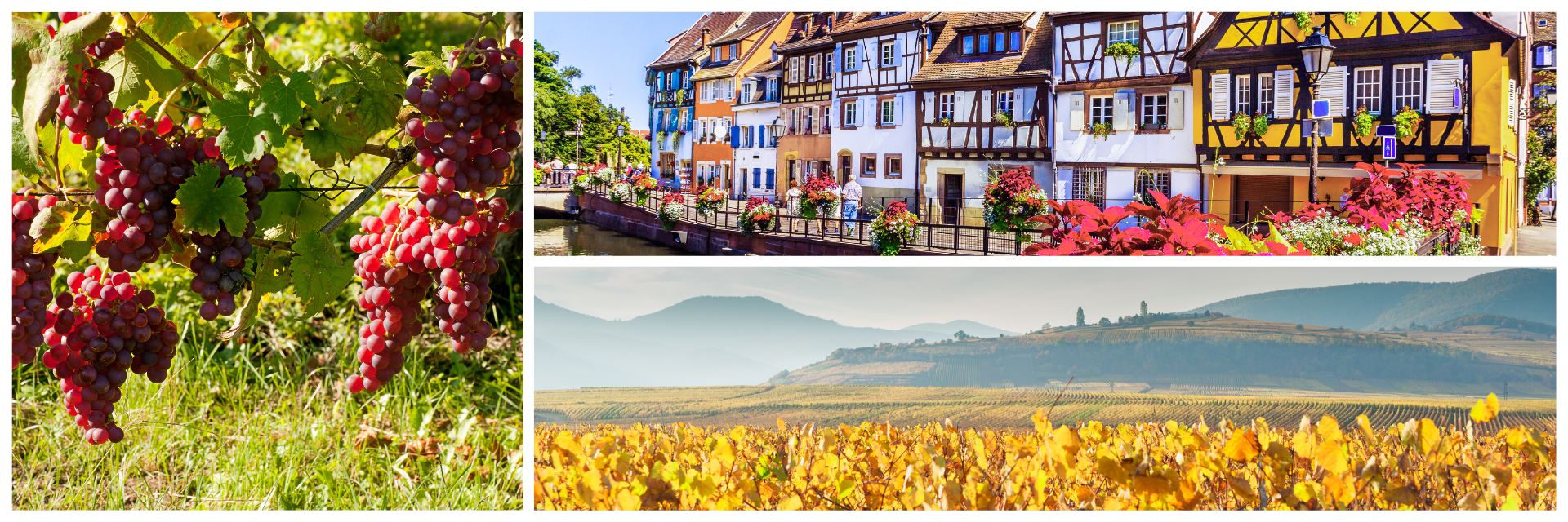 Reisetipps Elsass (4)