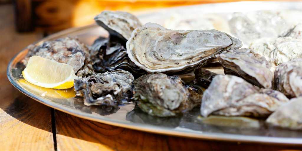 Appetitlich angerichtete Austern