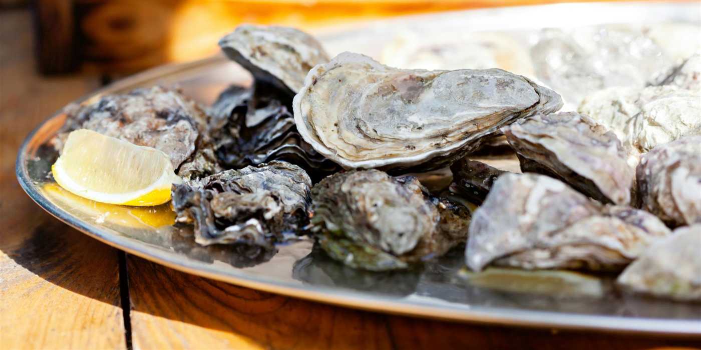 Appetitlich angerichtete Austern