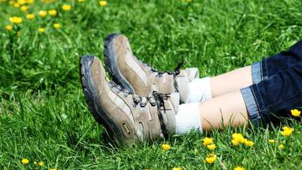 meadow-4501587_1280