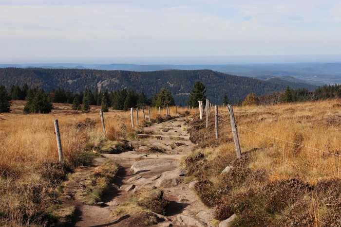 Wanderweg in den Vogesen im Elsass mit Blick auf die Berge – ideal für Wanderungen und Ausflüge.