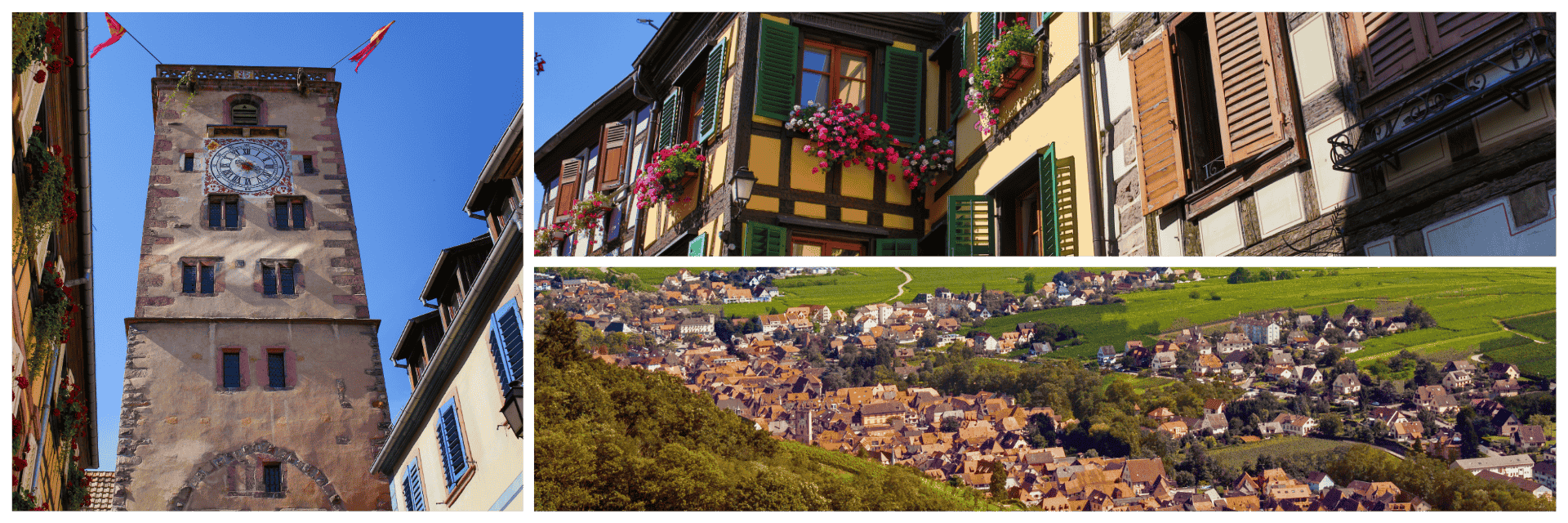 Collage mit Impressionen aus Ribeauvillé im Elsass: links der berühmte Metzgerturm mit Uhr, rechts oben blumengeschmückte Fachwerkhäuser, darunter ein Blick auf das malerische Winzerdorf inmitten der 