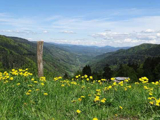 Blick vom Col du Bonhomme ins Val d’Argent bei Sainte-Marie-aux-Mines in den Vogesen