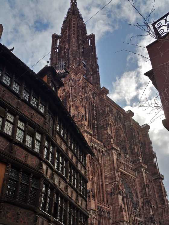 Straßburger Münster in der Altstadt von Strasbourg – Blick vom Münsterplatz