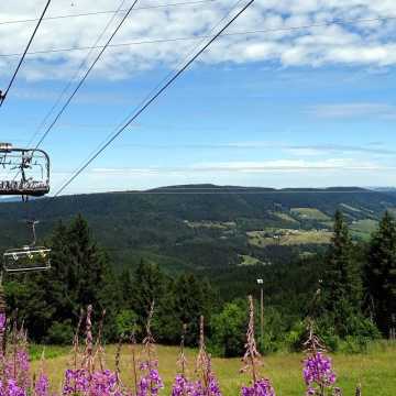Sessellift über blühender Sommerwiese mit Blick auf die grünen Höhenzüge der Vogesen im Elsass