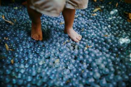 Der Barfusspfad im Parc Wesserling